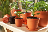 Clever Pots Easy Release Plastic Pots Garden Plant Growing 11.6cm Pack 5