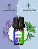 Aromatherapy Humidifier 500ml Aroma Diffuser 16 Essential Fragranced Oils