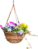 Ambassador Rattan Hanging Basket 12", 14", 16" Stylish and Durable Planters for Outdoor/ Indoor Use
