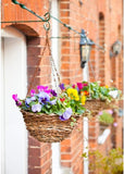Ambassador Rattan Hanging Basket 12", 14", 16" Stylish and Durable Planters for Outdoor/ Indoor Use
