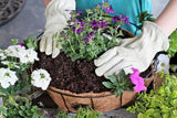 Ambassador Hanging Basket With Coco Liner 12", 14", 16"