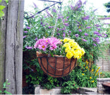 Ambassador Hanging Basket With Coco Liner 12", 14", 16"