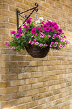 Ambassador Dark Brown Willow Hanging Basket Lined Rattan Willow Planter 12", 14", 16"