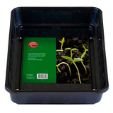 Ambassador Seed Tray Small Medium Various Sizes- Pack 5, 10