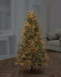 Premier 2000 LED Multi Action Christmas Treebrights with Timer – Indoor & Outdoor String Lights – Available in White, Multi, Red, Vintage Gold, Red/White/Blue & Warm White on Green Cable