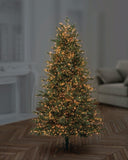Premier 2000 LED Multi Action Christmas Treebrights with Timer – Indoor & Outdoor String Lights – Available in White, Multi, Red, Vintage Gold, Red/White/Blue & Warm White on Green Cable
