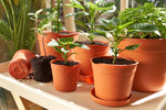 Clever Pots Gardening Seeds Seedlings Roots Easy Release Plastic Plant Pots 9.6cm Small For Indoor Outdoor Pack of 5