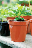 Stewart Round Flower Pot Terracotta Orange Classic Vintage Colour 7" For Individual Plants & Flowers Fully Recyclable Plastic Use in Garden and Home