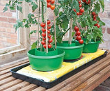Garland Green Plant Halos Watering Pot Support Crop Beans Tomato Pepper Cane Pack 3