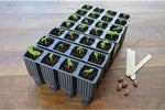 Garland 28 Cell Fast Deep Root Success Kit Plug Plant Seed Tray Trainer