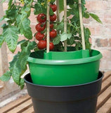 Garland Green Plant Halos Watering Pot Support Crop Beans Tomato Pepper Cane Pack 3