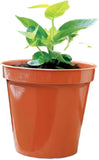 Stewart Round Flower Pot Terracotta Orange Classic Vintage Colour 7" For Individual Plants & Flowers Fully Recyclable Plastic Use in Garden and Home