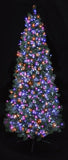 Premier Multi-Action TreeBrights Christmas Tree Lights LED With Timer