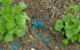 Doff Slug and Snail Killer Showerproof Slug Kill Pellets Organic Gardening New