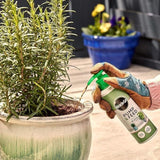 Miracle Gro Grow Pump & Feed Ready To Use Plant Food Indoor Outdoor 200ml