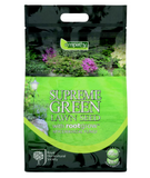 Empathy Supreme Green Lawn Grass Seed Patch Repair With Rootgrow 500g