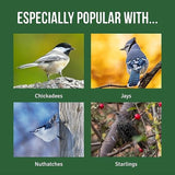 Honeyfield's Suet Block Fruity Flavour High Energy Wild Bird Food Pack 4 1.2kg
