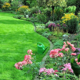 Doff Multi Purpose Lawn Grass Seed Hard Wearing With Procoat 20m2 Coverage 500g