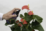 Houseplant Myst Focus Potting Mix Peat Free Food Feed Concentrated 100ml - 300ml