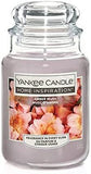 Yankee Candle Scented Fragrance Candles Tumbler  Home Large Glass Jar 538g 16oz