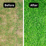 IRON SULPHATE Greener Grass Soluble Fertiliser Miracle Turf Lawn Tonic 40-300m2