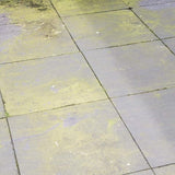 HG Paths Decking Green Algae, Moss, Fungi, Mould Killer And Remover 1 Litre
