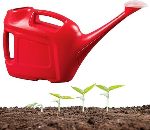 Ward Red Plastic Garden Watering Can With Rose Indoor Outdoor 6 Litre