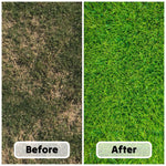 Premium Grass Seed Miracle Fast Growing Hard Wearing Garden New Lawn & Repair