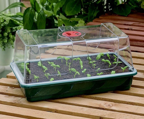 Garland Large High Dome Propagator Seed Tray Vented Plant Propagation 37.5cm