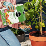 Miracle Gro Performance Organic Granular Fruit & Vegetable Plant Based Food 1kg