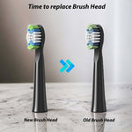 Fairywill Sonic Electric Toothbrush USB Rechargeable Timer With 8 Heads Black