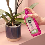 Miracle-Gro Spray And Spritz Hydration Mist For Orchids Ready To Use 300ml