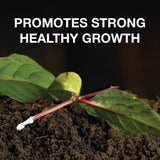 Doff Natural Rooting Powder For Strong Hormone Plants Cutting Healthy Roots 75g