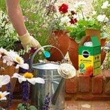 Miracle-Gro Grow All Purpose Soluble Plant Food 1kg + 20% Extra Value Free