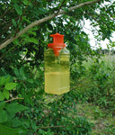 Zero In Fly Trap Super Effective Disposable Insect Trap for Outdoor Garde