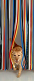 Plastic Strips Insect Control Mosquito Blinds Door Curtain Protection Stop Fly