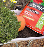 LEVINGTON MULTI-PURPOSE GARDEN COMPOST SOIL WITH JOHN INNES 10L