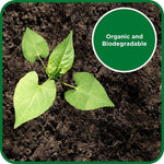 Flowchem Concentrated Acetic Acid Super Vinegar Eco-Friendly Garden Cleaning 5L