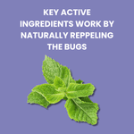 Flowchem Bed Bug & Insect Killer Repellent Spray Treatment Mattress Non-Toxic