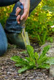 Neudorff Weedkiller Ready To Use Weedfree Plus Fast Acting Biodegradable 750ml