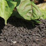 Defenders Slugs Away Slug & Snail Control Wool Pellets Biodegradable Organic 1L