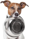 Anti Slip Dog Puppy Pet Cat Feeding Bowl Stainless Steel Food Water Dish 1.2L