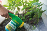 Miracle Gro Filled Hose Feeder All Purpose Twice As Big Soluble Plant Food Grow