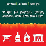 Fire Up Natural Sustainable BBQ Firelighters Safe, Green, Clean Box Of 200