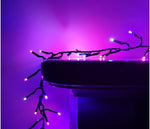 Premier 2000 LED Multi Action Christmas Treebrights with Timer – Indoor & Outdoor String Lights – Available in White, Multi, Red, Vintage Gold, Red/White/Blue & Warm White on Green Cable