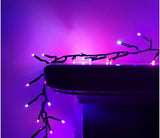 Premier 2000 LED Multi Action Christmas Treebrights with Timer – Indoor & Outdoor String Lights – Available in White, Multi, Red, Vintage Gold, Red/White/Blue & Warm White on Green Cable
