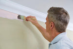 ProDec 2 inch Premier Trade Professional Synthetic Long Handle Cutting In Paint Brush for Sharp Edge Lines Painting with Emulsion, Gloss, Satin Paints on Walls, Ceilings, Wood and Metal, 2" 50mm