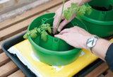 Garland Green Plant Halos Watering Pot Support Crop Beans Tomato Pepper Cane Pack 3