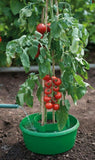 Garland Green Plant Halos Watering Pot Support Crop Beans Tomato Pepper Cane Pack 3