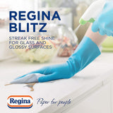 Regina Blitz Household Towels Kitchen Roll 210 Sheets Pack 3 - 3-ply Kitchen Roll